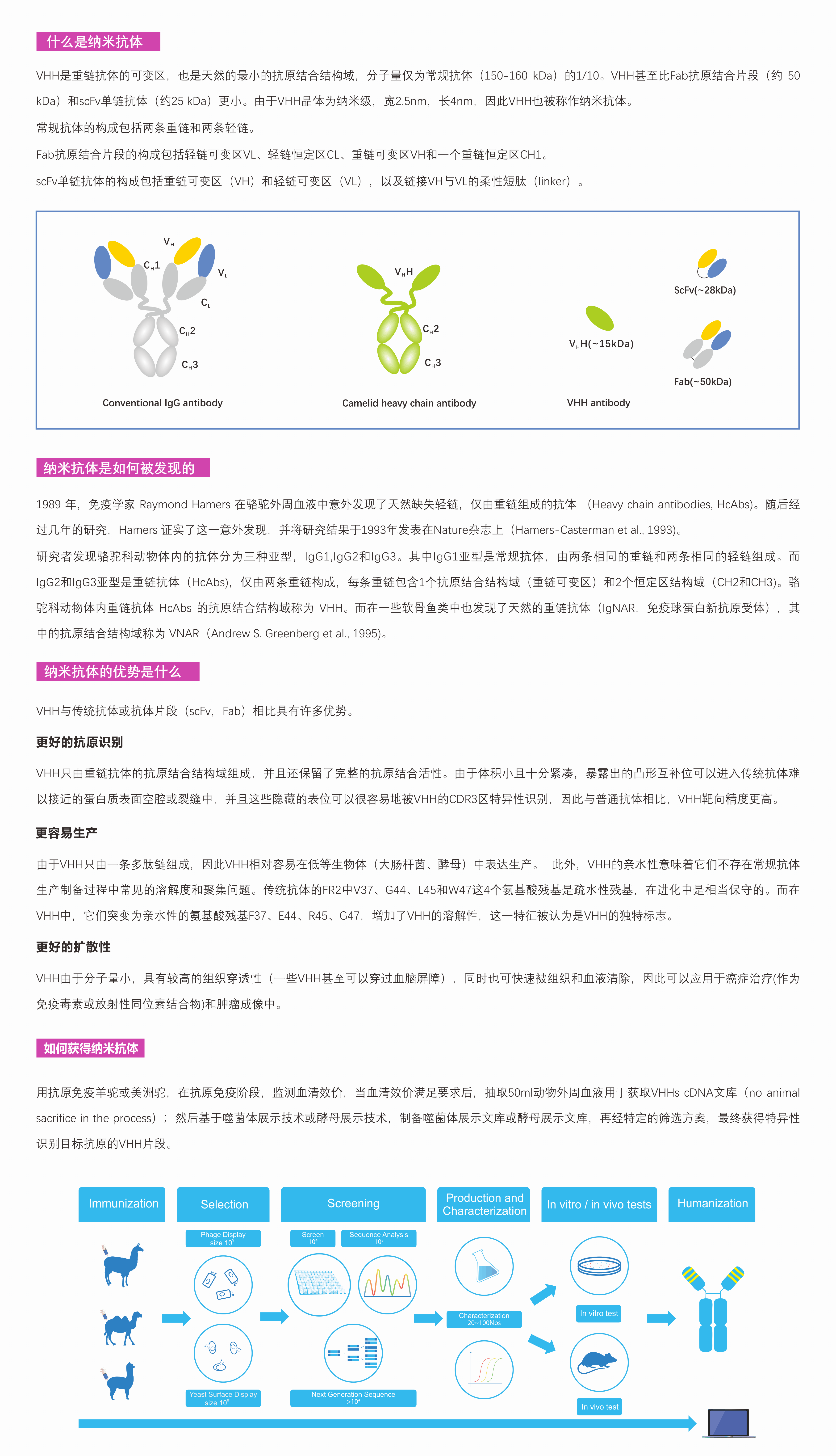 纳米抗体简介.png