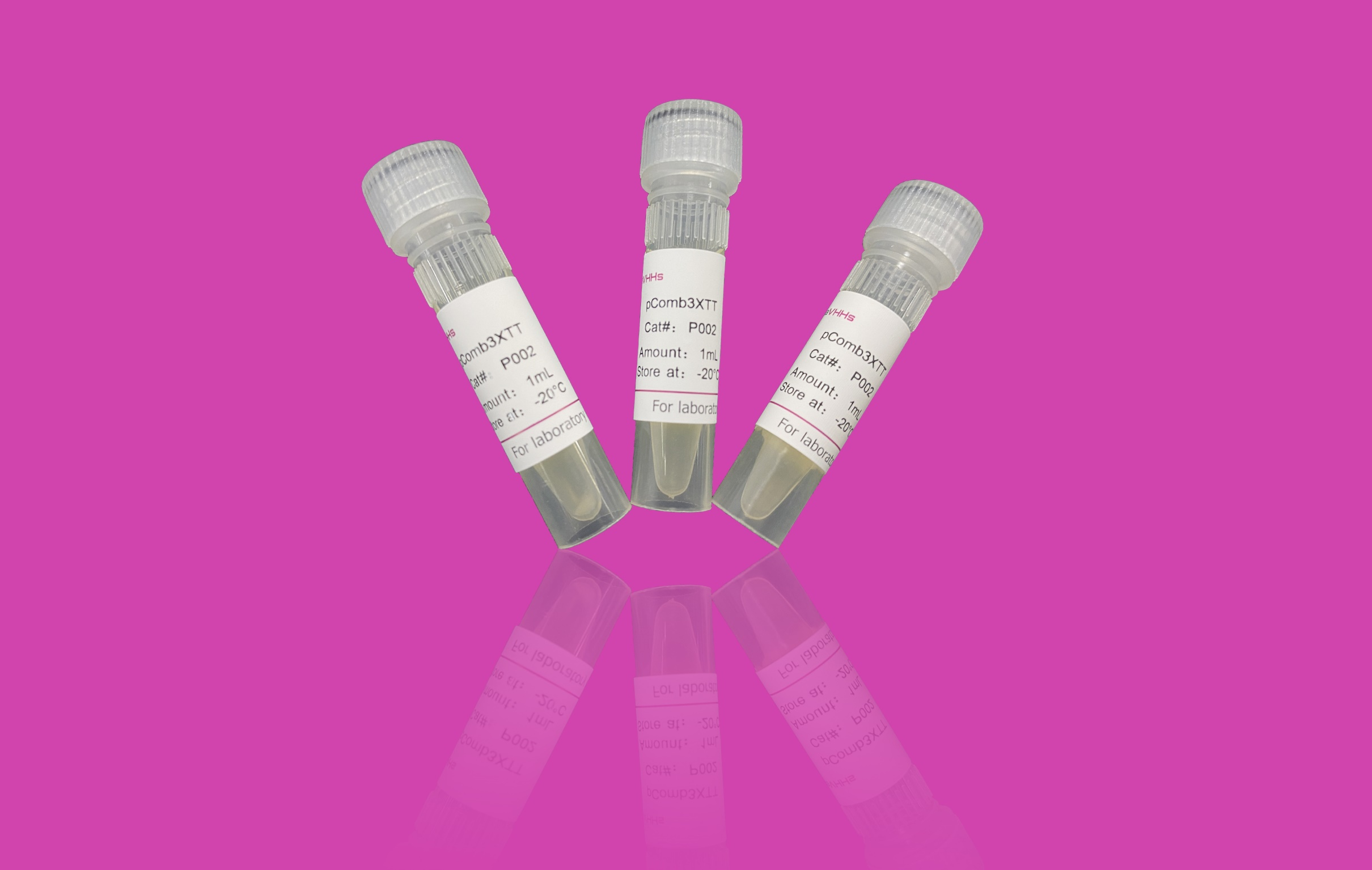 Product image-P002