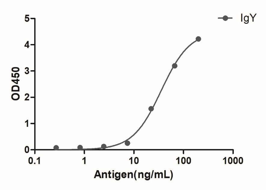 A titer ELISA of chicken IgY-Anti-Chicken IgY, AlpSdAbs® VHH (Biotin)  

