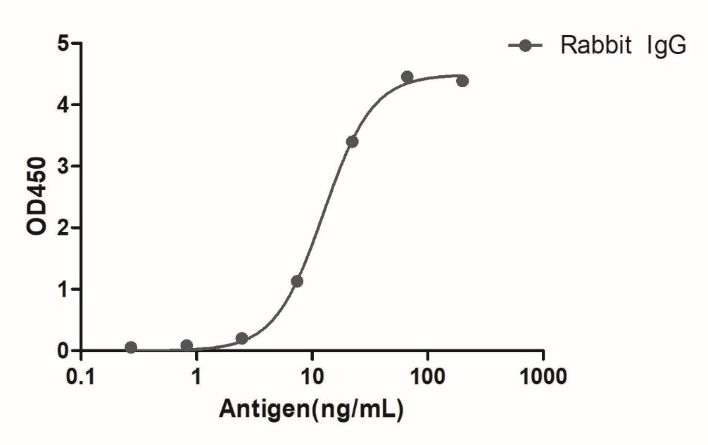 A titer ELISA of Rabbit IgG-Anti-Rabbit IgG(Fcγ Fragment specific), AlpHcAbs® Goat antibody  