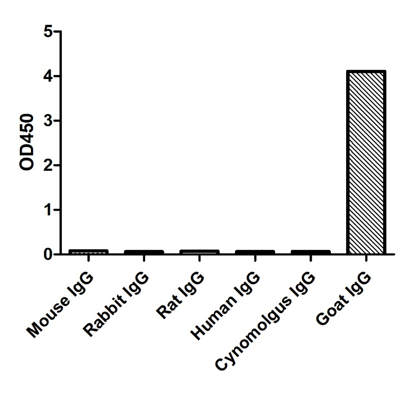 ELISA of specificity for different species of IgG-Anti-Goat IgG(Fcγ Fragment specific), AlpHcAbs® Rabbit antibody(HRP) 