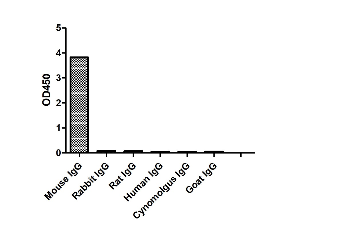ELISA of specificity for different species of IgG-Anti-Mouse IgG(H+L), AlpHcAbs® Goat antibody(Biotin)  