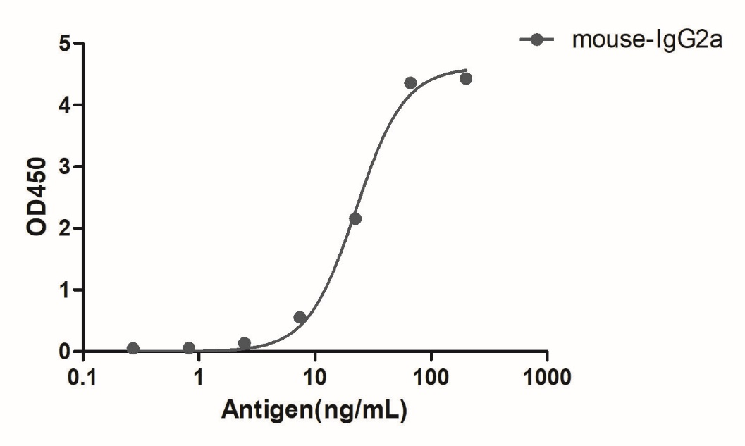 A titer ELISA of mouse IgG2a-Anti-Mouse IgG2a(Fcγ Fragment specific), AlpHcAbs® Goat antibody  