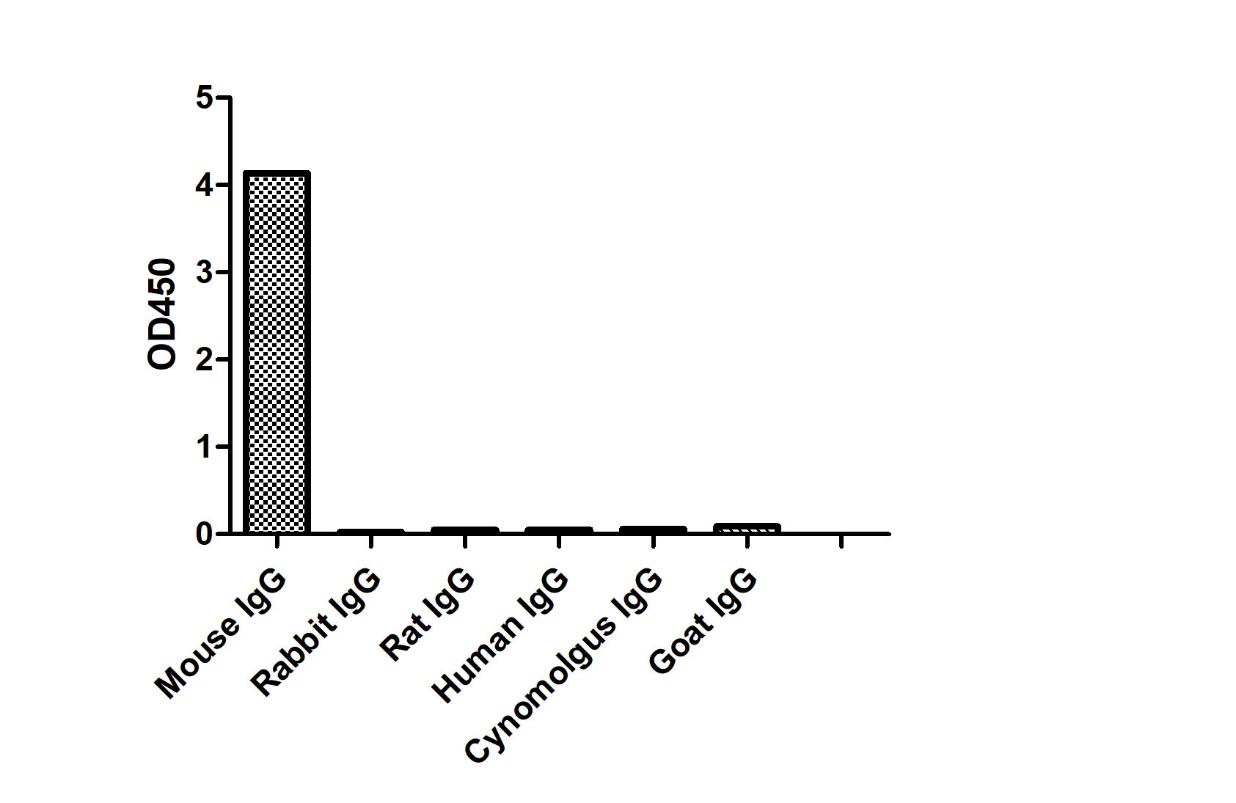 ELISA of specificity for different species of IgG-Anti-Mouse IgG kappa, AlpHcAbs® Goat antibody(Biotin)  