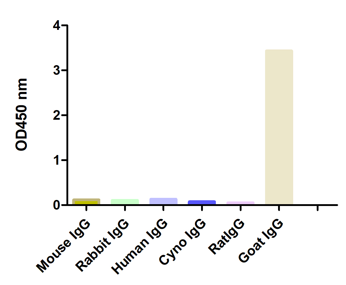 A titer ELISA of different IgG-Anti-Goat IgG(H+L), AlpSdAbs® VHH(HRP)