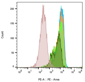 CAR-Jurkat Assay-Human CD19-PE CAR TEST Kit