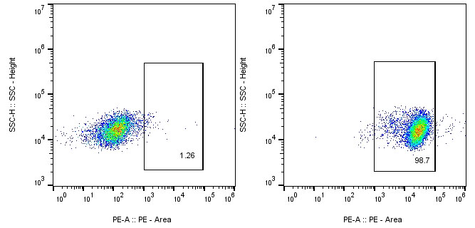 CAR-Jurkat Assay-Human CD7-PE CAR TEST Kit