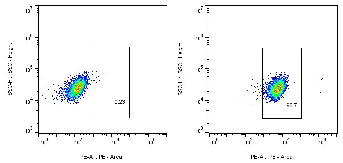 CAR-Jurkat Assay-Human CD8-PE CAR TEST Kit